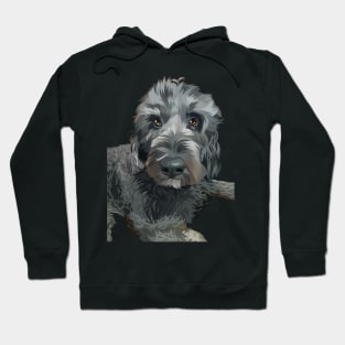 long haired gray dog-vector art Hoodie